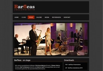 Barfleas Jazz-Duo - Dezentes Jazz-Ambiente und musikalische Untermalung aus Berlin